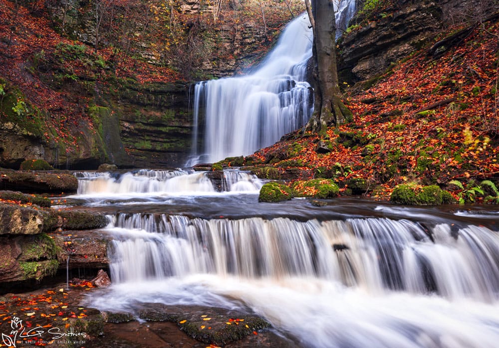 Scalber Force